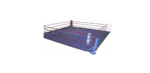 RXN Training Floor Anneau de boxe de haute qualité Taille de l'anneau d'entraînement 14ft * 14ft à 24ft * 24ft taille disponible - Product Image 4