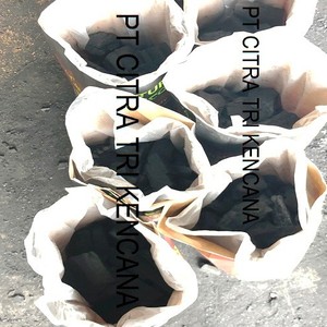 INDONESIA FRUIT CHARCOAL, NATURAL WOOD CHARCOAL, BBQ CHARCOAL BEST SELLER IN Bao Loc VIETNAM - Product Image 4