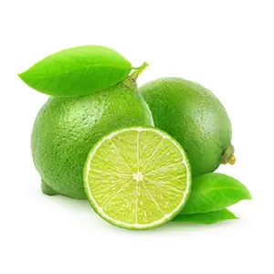 Italy Lime Oil, Pure Lime Essential Oil Wholesale Supplier for International Market
