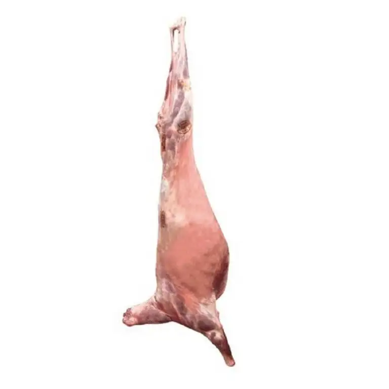 Montone di carne di agnello fresco 18-24kg biologico all'ingrosso naturale