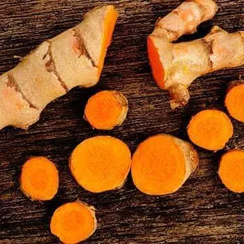 The most competitive price fresh tumeric in Viet Nam - Whatsapp: +84-845-639-639