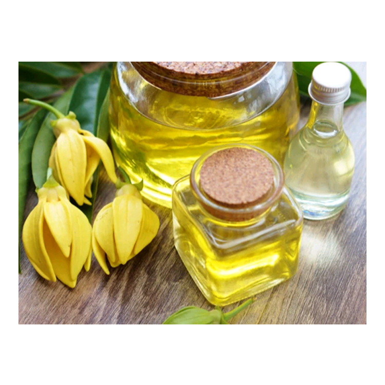 Fornitore all'ingrosso di Migliore Qualità Organico Puro Olio di Ylang Ylang Olio Essenziale