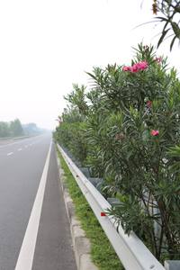 ทางหลวงรั้ว Made In Vietnam สำหรับขายดีราคา - Product Image 3