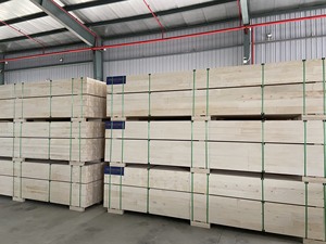 Thanh giường lvl hạng nhất hiện đại với tiêu chuẩn khí thải E2 từ nhà máy Việt Nam - Product Image 6