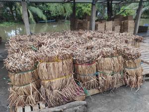 Jacintos de Agua Naturales en Venta/ Jacinto de Agua Seco de Vietnam con Buena Calidad y Precio - Product Image 3