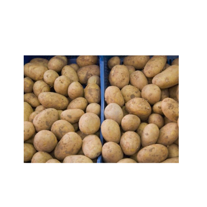 Лидер продаж, новый урожай свежих овощей, пакет для картофеля, оптовый заказ, питательный органический картофель для продажи
