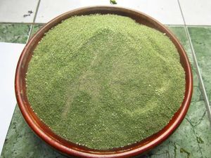Poudre d'algues vertes pures ULVA LACTUCA pour l'alimentation animale, certifiée HACCP et ISO, emballée en sac - Product Image 4