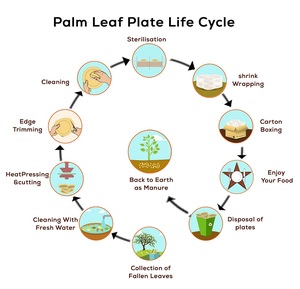 Chất lượng tốt nhất 100% thân thiện với môi phân hủy sinh học areca Lá Cọ tấm nhà máy vuông cao hiện đại Bộ đồ ăn cho những buổi dã ngoại bên - Product Image 3