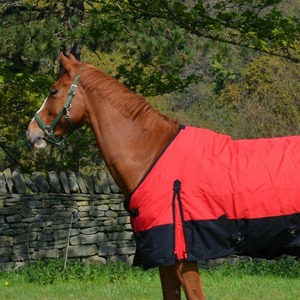 Couverture de cheval imperméable rouge avec rabat de queue moyen et 2 sangles de jambe en tissu Oxford - Product Image 4