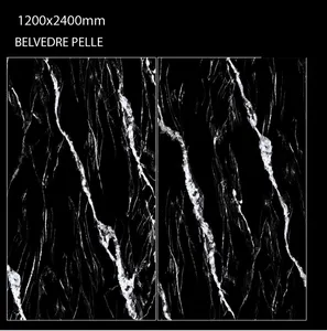 喷墨数字高强度瓷砖1200x2400mm毫米彩色车身高度，用于厕所小便池。