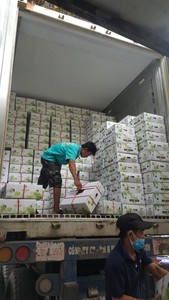 มะพร้าวสด (Viber + 84 971629648) - Product Image 6