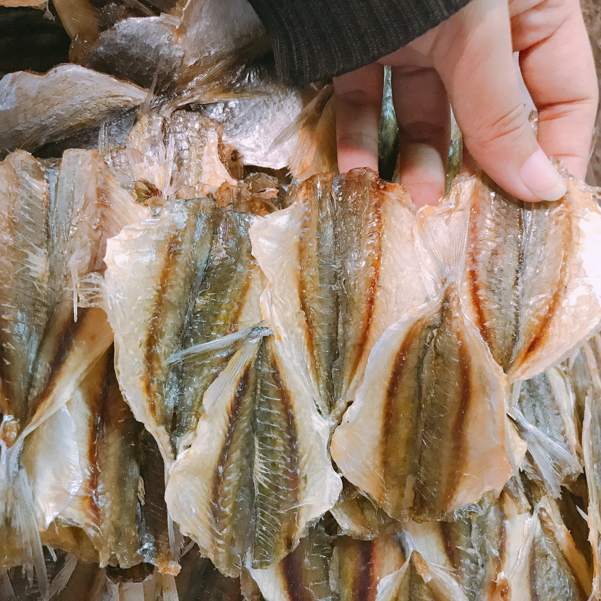 Makanan Laut/Ikan Trewally Garis Kuning Kering Kualitas Tinggi Vietnam untuk Dijual dengan Harga Bagus + 84 966722357