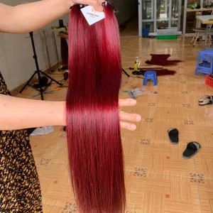 Rode Fluwelen Kleur-Bundel Steil Haar Rode Wijn Kleur 100% Echt Menselijk Haar