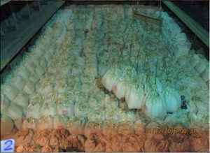 Portland Cement จากเวียดนาม - Product Image 5