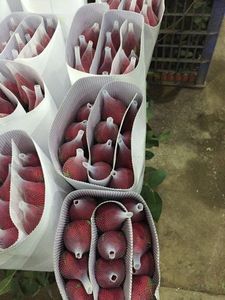 ดอกไม้ตัดสดใช้ได้... - Product Image 4