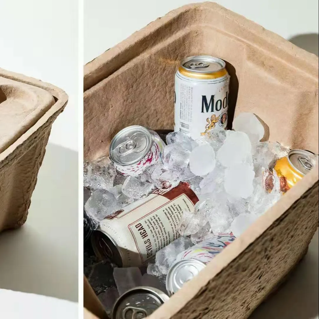 Sinh Thái Giấy Hộp Bao Bì Không Thấm Nước Ice Cooler Beer Container Nhà Máy Tùy Chỉnh Đúc Bột Giấy Hộp Lưu Trữ