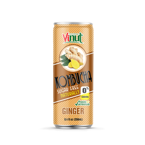 เครื่องดื่มน้ำขิงคอมบูชา วินุต 8.4 ออนซ์ - Product Image 1