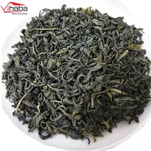 Extracto orgánico, producto de salud, fabricante de Vietnam, hojas de té verde, té verde en bolsas