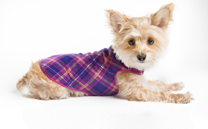 ขายส่งที่กำหนดเองฤดูร้อนเครื่องแต่งกายเสื้อ T เสื้อสัตว์เลี้ยงสุนัขเสื้อผ้า - Product Image 4