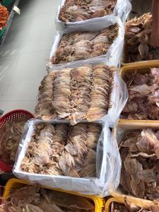 ปลาหมึกแห้งคุณภาพสูงจากเวียดนาม (ผู้ขายที่ดีที่สุด)-Ms Akina - Product Image 2