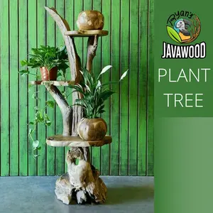 Suporte de madeira para árvore de plantas, prateleira para decoração de jardim, varanda, decoração da casa, central java, austrália, 100%
