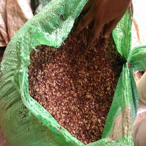 Poudre de balle de noix de cajou de haute qualité 3-10mm d'humidité 10% Max Vietnam gros résidus de déchets agricoles pour le carburant de biomasse - Product Image 4