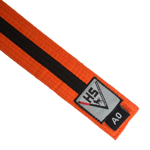 Customized Logo Martial Arts <b>Equipment</b> <b>Karate</b> Taekwondo BJJ Judo Belts for sale - Product Image 5