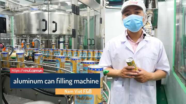 500ml VINUT Can Healthy Beauty Drink Tinned Pulp Mango Coconut Juice Glucose Feature Halal Certified Water Fruit Juice