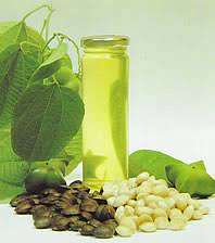 Fabrication au meilleur prix d'huile de Sachi à haute teneur en protéines/noix de Sacha Inchi de haute qualité origine Vietnam/Shyn Tran - Product Image 2