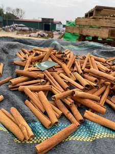 แท่งเหล็กอบแห้งแบบแท่งไม้สำหรับทำซิการ์เยนแบบดิบจากเวียดนามจำหน่ายโดยทับทิมมีเกียรติ + 84 359318390 - Product Image 5