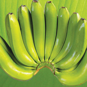 ขายส่งกล้วยเขียวพืชใหม่เวียดนามผลิตภัณฑ์พิเศษด้วยราคาที่ดีที่สุดสําหรับคุณ - Product Image 1