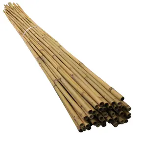 1000 Pieces Bamboo Poles Sale For Garden Plant Support MOQ 1000 Pieces Made In Vietnam