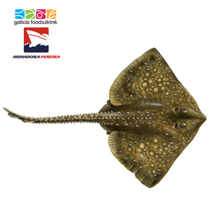 frozen fish, skate fish | seafood from spain | high quality [arm