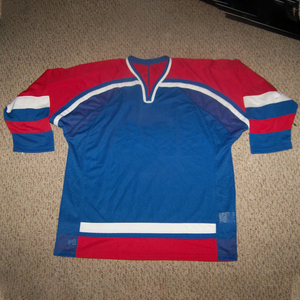 Custom Team Ice Hockey Jerseys Sublimation Embroidery <b>Applique</b> with Name and Numbers Set Style - Product Image 5