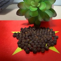 HARGA TERBAIK Lada Hitam Kering Premium Bersertifikat ISO dari Pabrik Vietnam Rempah-rempah Herbal Hubungi Supplier Tn. Henry