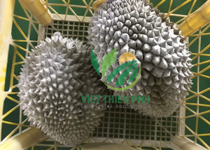 ที่มีคุณภาพสูงแช่แข็งทุเรียนจากเวียดนาม/แช่แข็งทุเรียน2023 - Product Image 2
