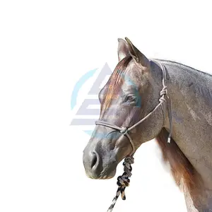 Professionals Choice Rope Halter w/Lead Rope Nose Horse Halter with Lead Rope Wholesale Supplier