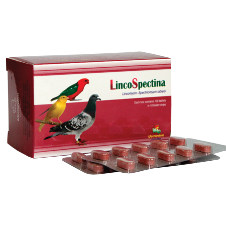 For the control and treatment of infections from organisms such as Mycoplasma spp in Pigeon, Pets, Lincospectina