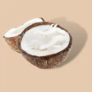 कंटेनर थोक में ताजा नारियल नारियल कॉयर कोको पीट कीमत