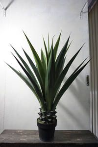 Precio de fábrica Planta de <span class=keywords><strong>agave</strong></span> artificial ornamental Decoración de arte minimalista de plástico para oficina u hotel para diseño de interiores - Product Image 5