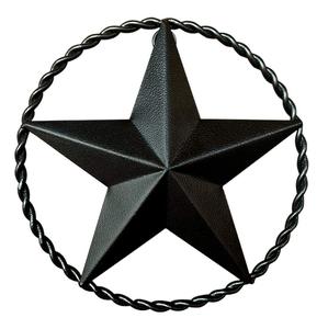 Luxueux Designer Fer Galvanisé Étoile Décoratif À La Main Mur Monté Classique Élégant Rustique Noir Poudre Enduit De Haute Qualité - Product Image 1