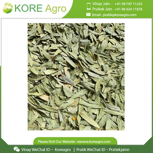 Hojas de Senna puras hechas de material estándar más reciente para la salud comprar al precio más bajo - Product Image 5