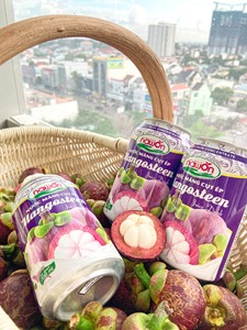 NAWON-jugo de fruta en lata de Mangosteen, el mejor fabricante de bebidas saludables de jugo tropical de Vietnam, 500ml - Product Image 4