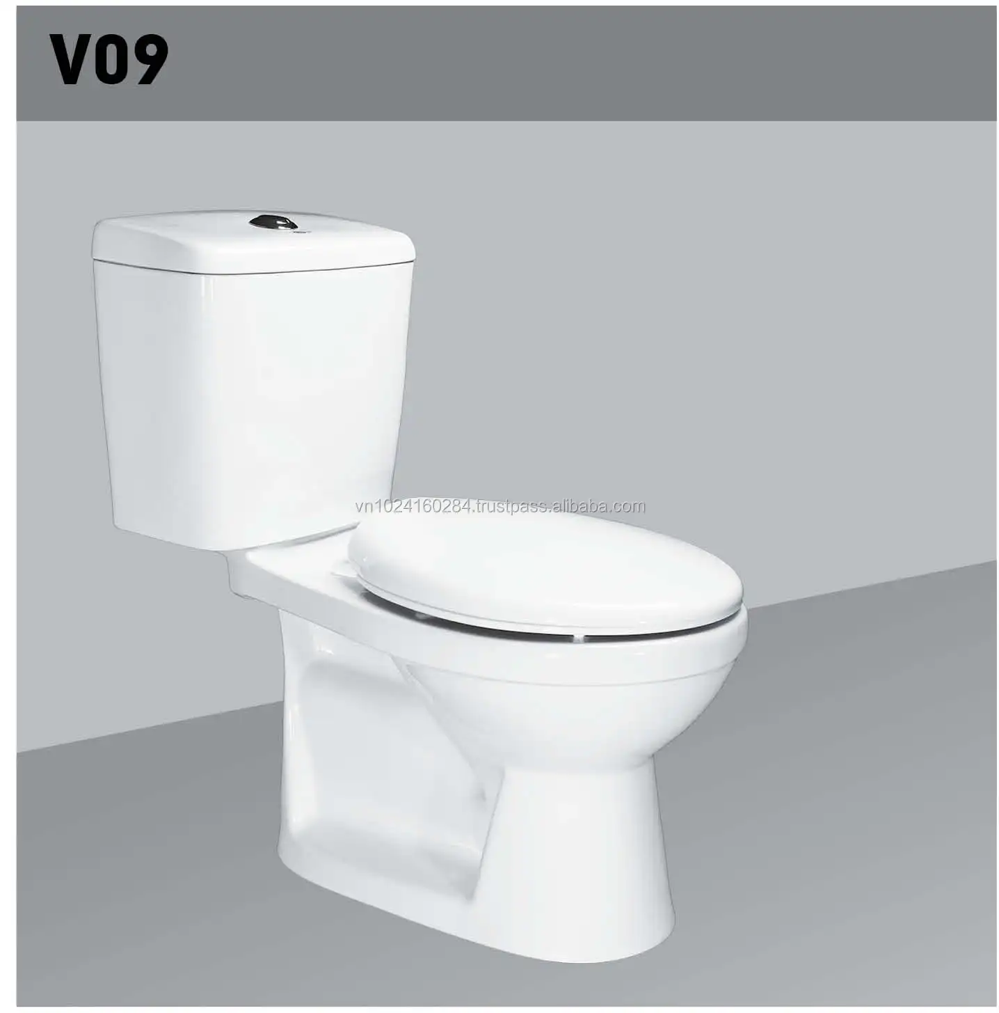 Promotional Sanitary ware -bathroom two piece toilet seat, Ceramic, White , Dual flush, Cyclon flushing