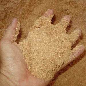 Virutas de madera para India, China, Corea,... Virutas de madera blanda de pino - Product Image 2