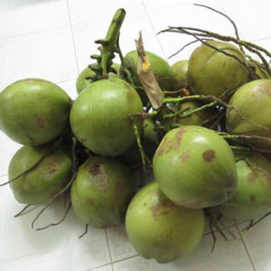 Carne de coco de Canadá - Product Image 6