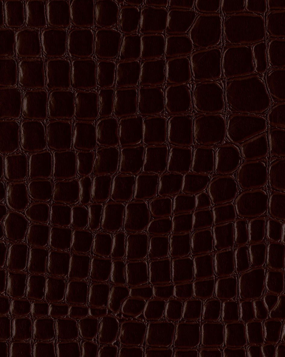 สีน้ำตาลเข้ม