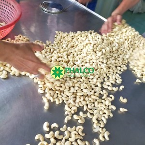 Vietnamese Cashew Nuts W320 Flavor and Kaju Cashew and Cashew Nuts W240 Vietnamese Origin - Product Image 3