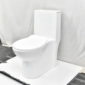 Modern Ceramic Floor Mounted S Trap 2 Piece Wc Toilet Bowl Sale Soft Cover White Seat Style Pattern Bathroom