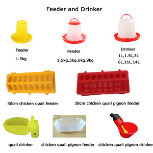 Tutte le dimensioni di pollo feeder bevitore per sale da pranzo e bere <span class=keywords><strong>abbeveratoi</strong></span> - Product Image 4
